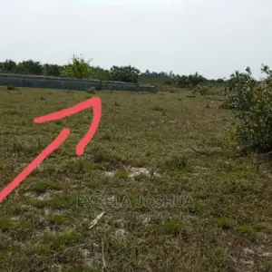 Kiwanja Kizuri Kinauzwa Kigamboni Gezaulole Juu