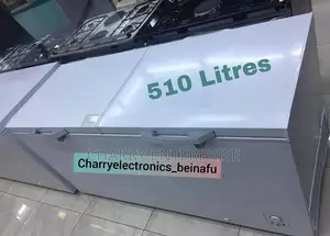 Hisense Deep Freezer 510L