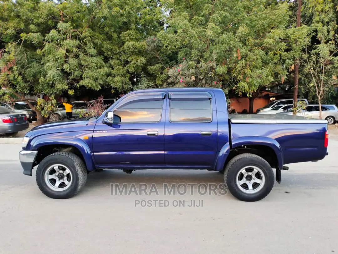 Toyota Hilux 2001 Blue