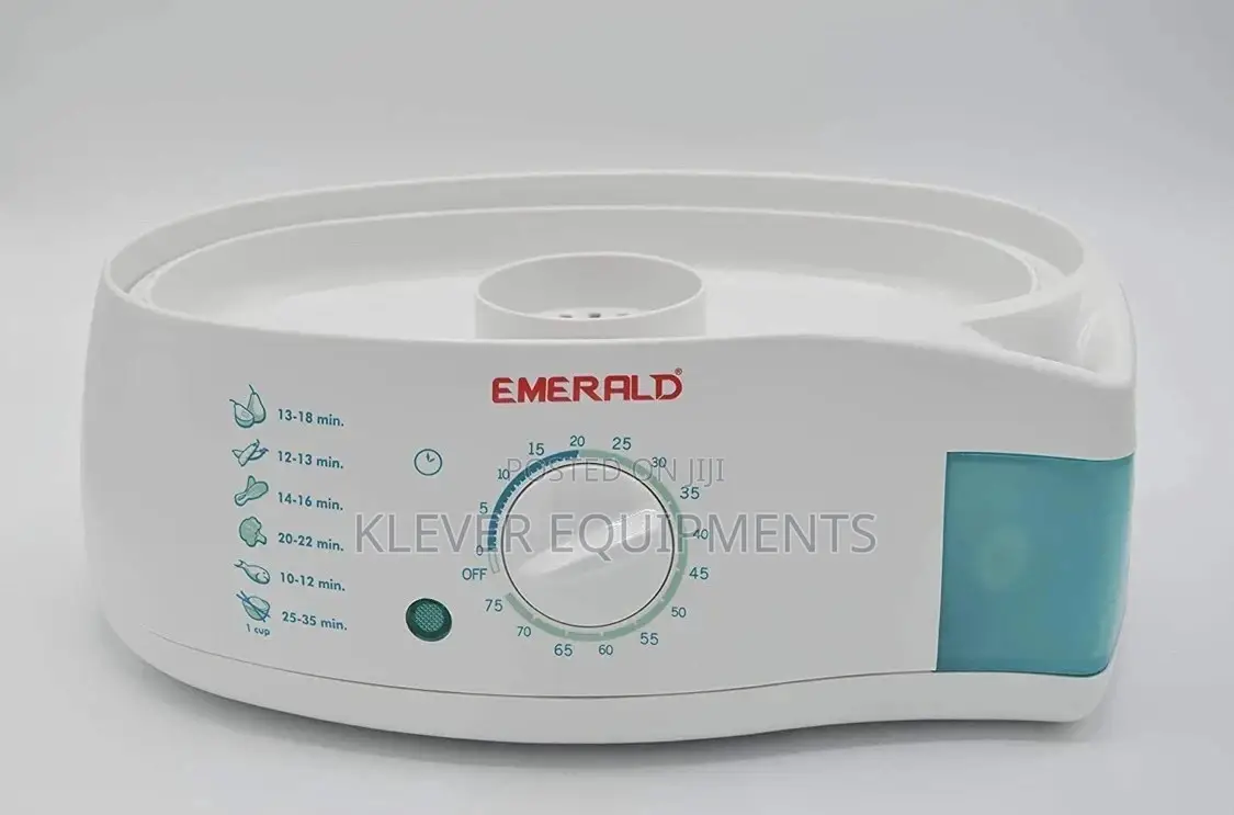 Electric Food Steamer
