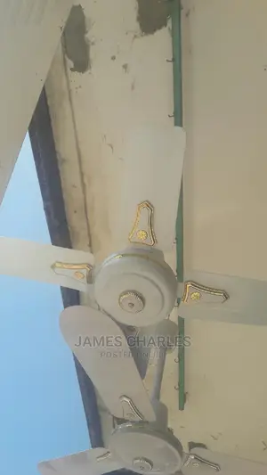 Fan for Home Use