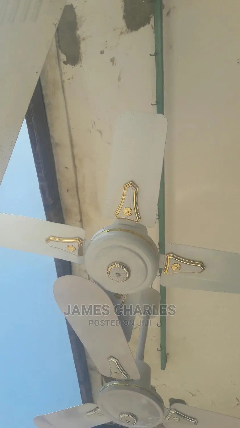 Fan for Home Use