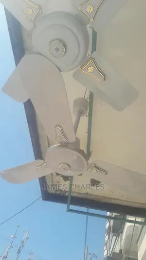 Fan for Home Use