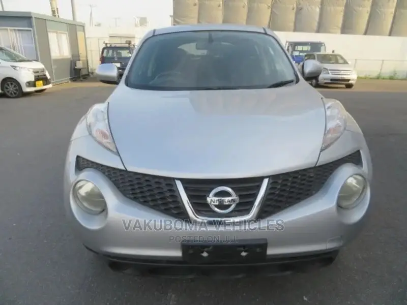 Nissan Juke 2011 Silver
