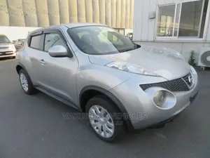 Nissan Juke 2011 Silver