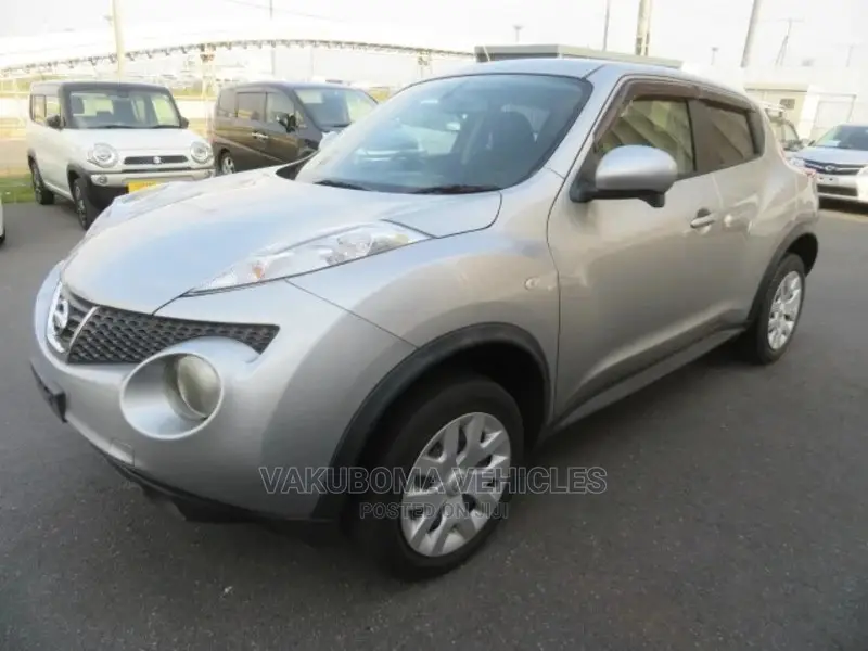 Nissan Juke 2011 Silver