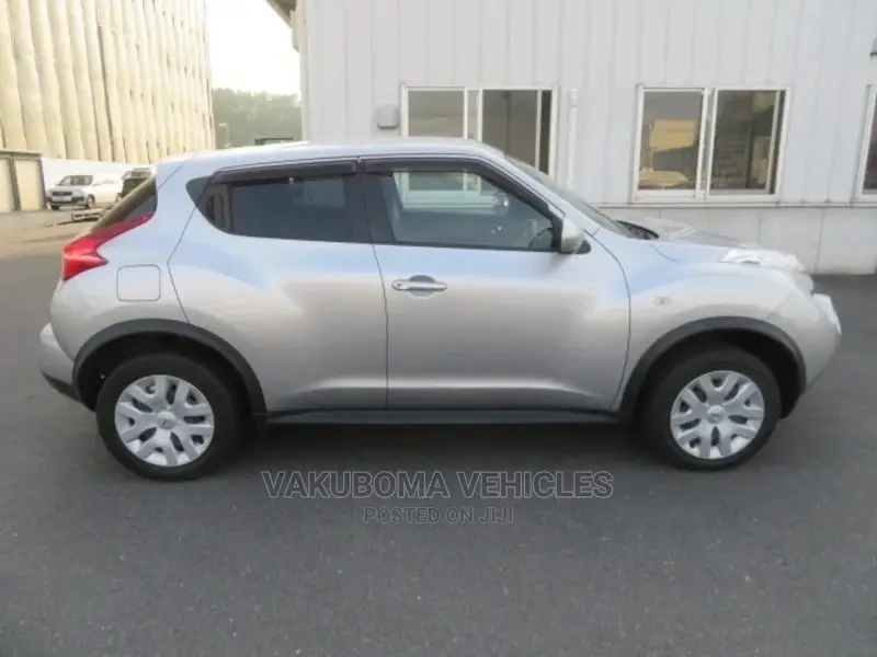 Nissan Juke 2011 Silver