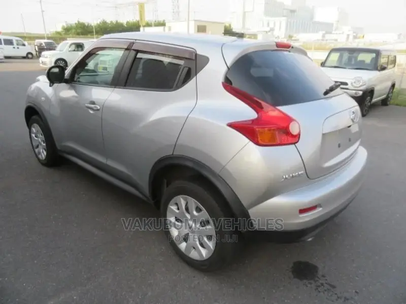 Nissan Juke 2011 Silver