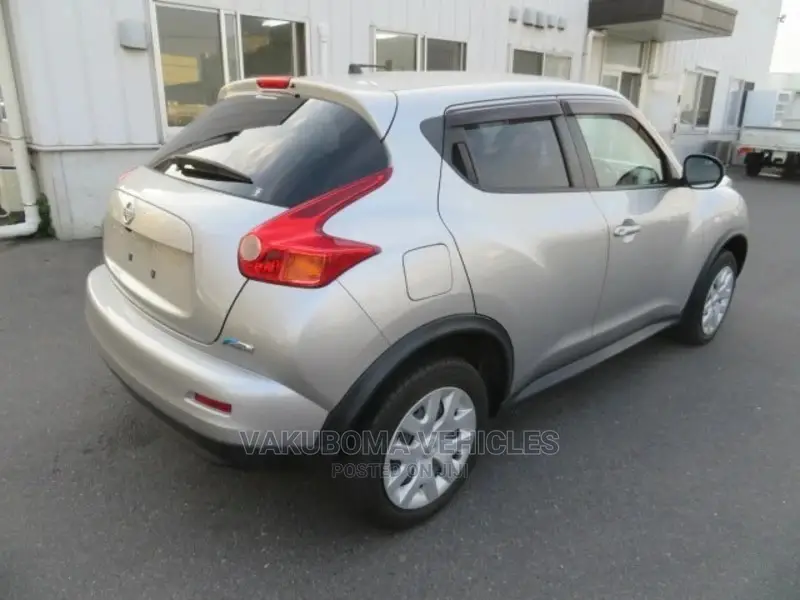Nissan Juke 2011 Silver