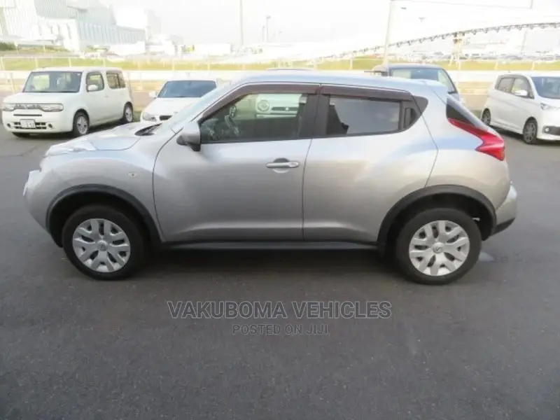 Nissan Juke 2011 Silver