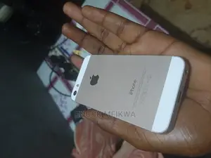 Apple iPhone 5s 16 GB Silver