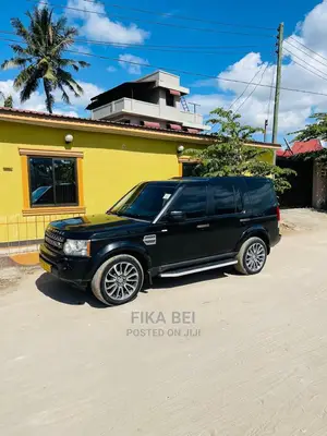 Car Rentals