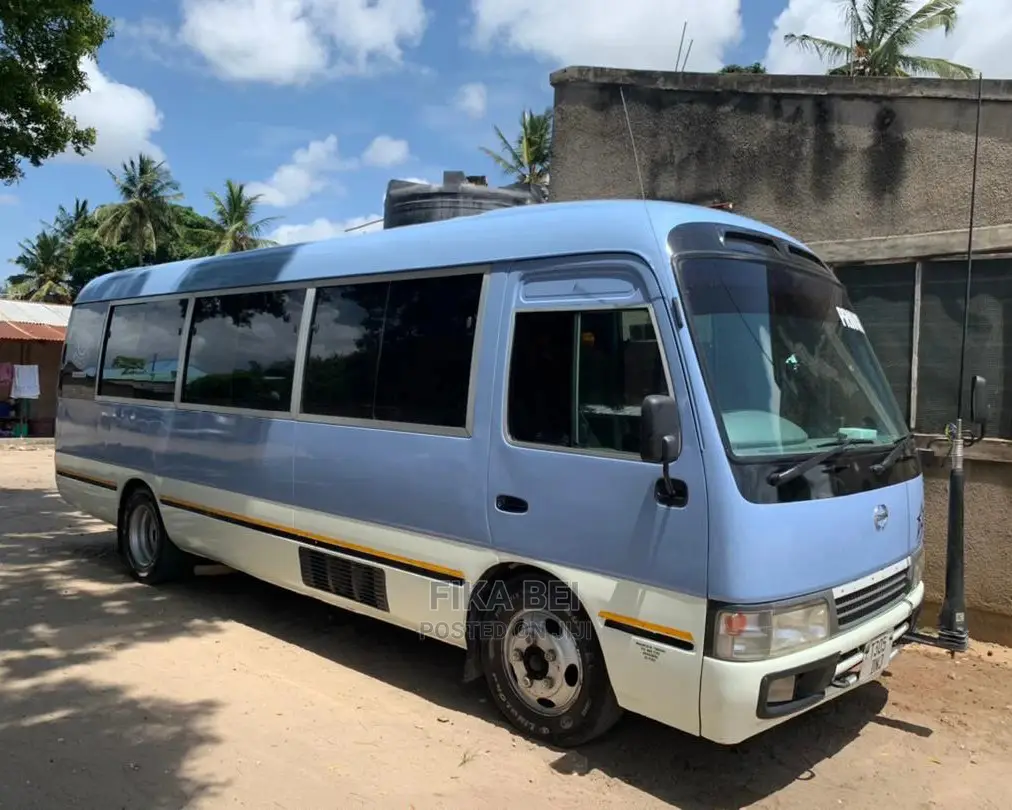Car Rentals