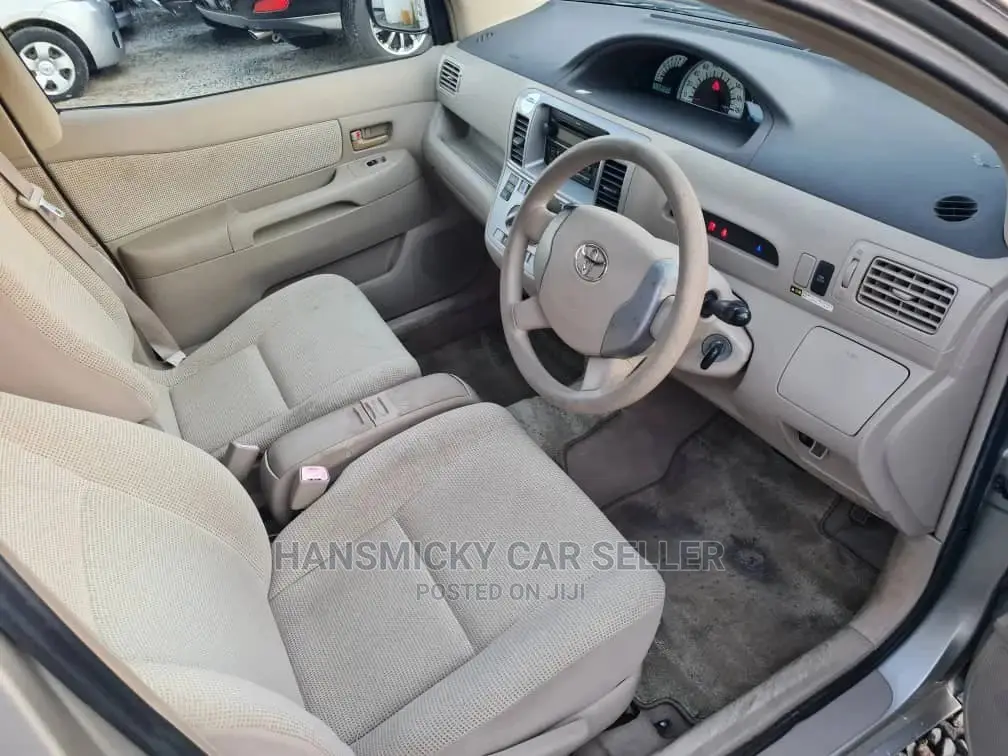 Toyota Raum 2005 Gray