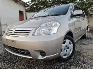 Toyota Raum 2005 Gray
