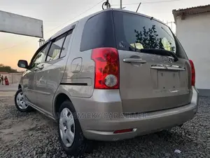Toyota Raum 2005 Gray