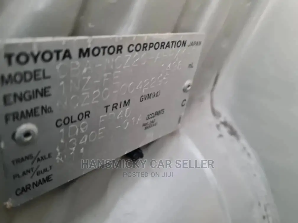 Toyota Raum 2005 Gray