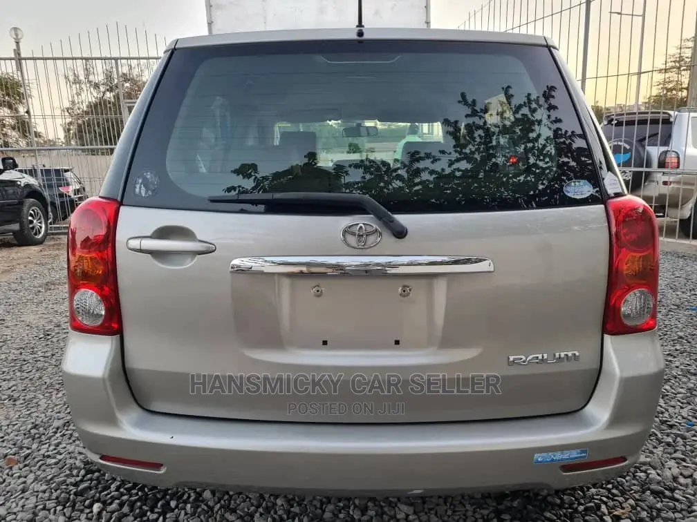 Toyota Raum 2005 Gray