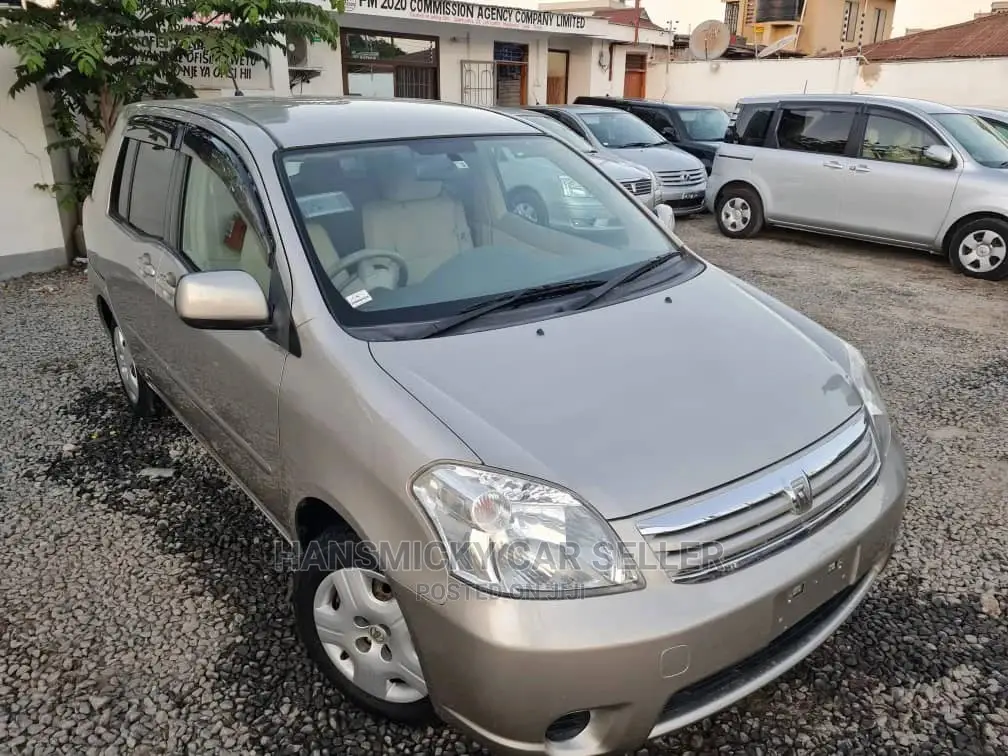 Toyota Raum 2005 Gray