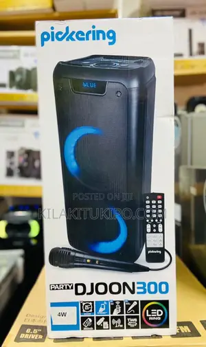 Rechargeable Bluetooth Speaker Djoon 300