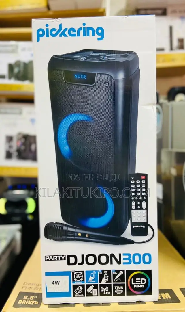 Rechargeable Bluetooth Speaker Djoon 300