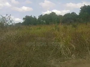 A Good Plot for Sale at Picha Ya Ndege