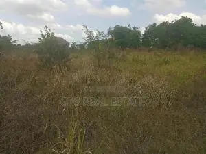 A Good Plot for Sale at Picha Ya Ndege
