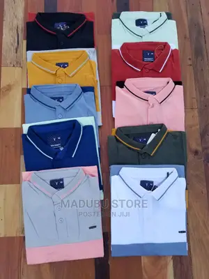 Fashion Colour T-Shirts