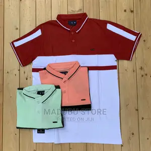 Fashion Colour T-Shirts