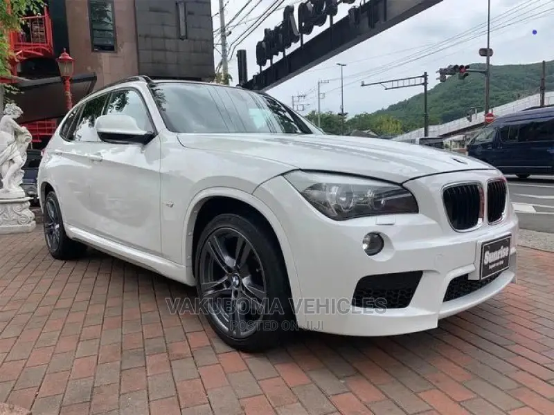 BMW X1 2011 Pearl
