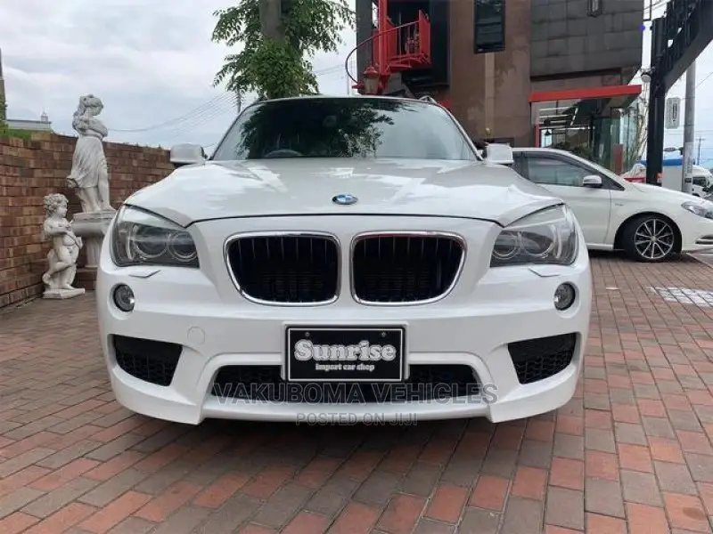 BMW X1 2011 Pearl