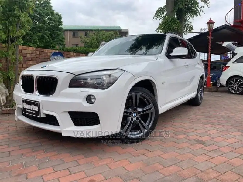 BMW X1 2011 Pearl
