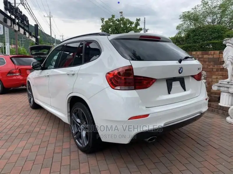 BMW X1 2011 Pearl