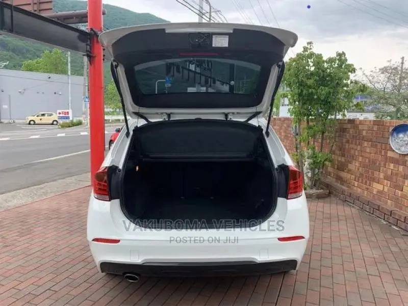 BMW X1 2011 Pearl