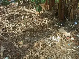 Farm Land for Sale at Mwasonga Kigamboni