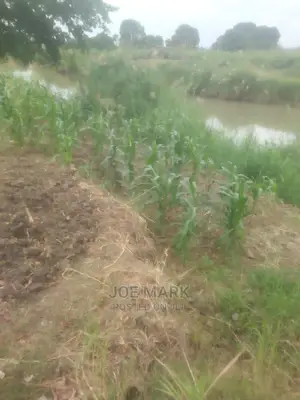 Shamba Linauzwa