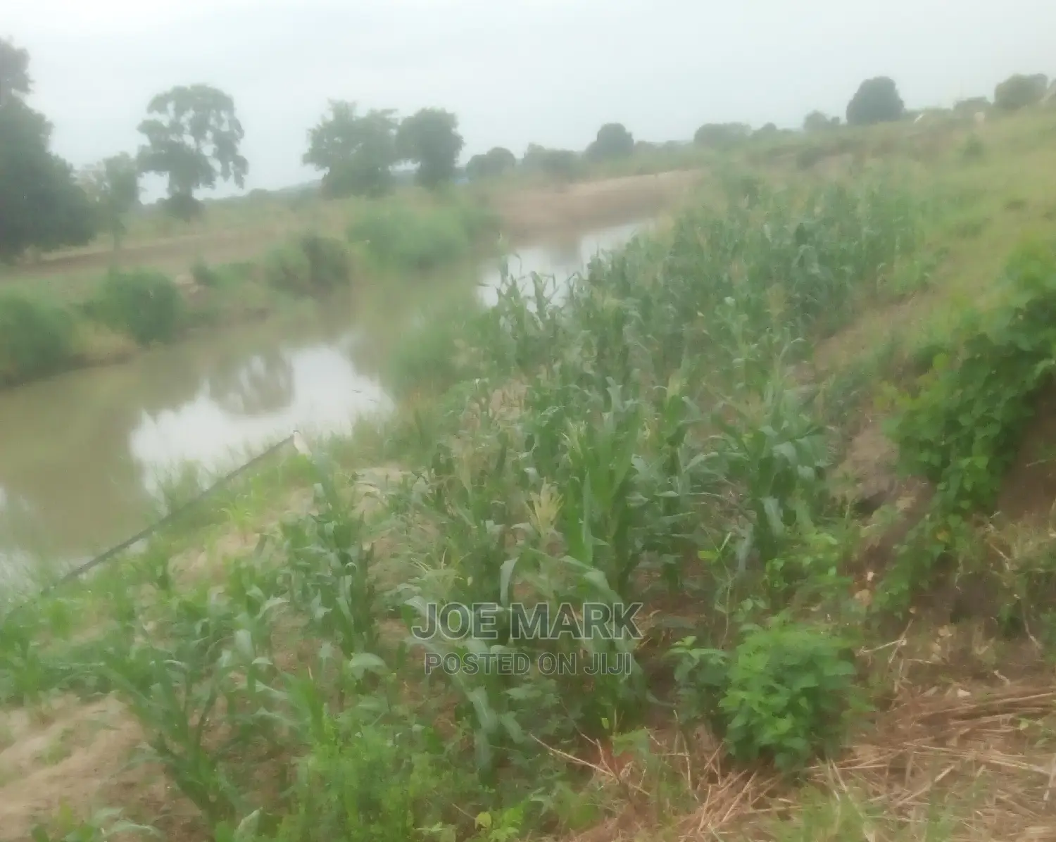 Shamba Linauzwa