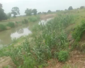 Shamba Linauzwa