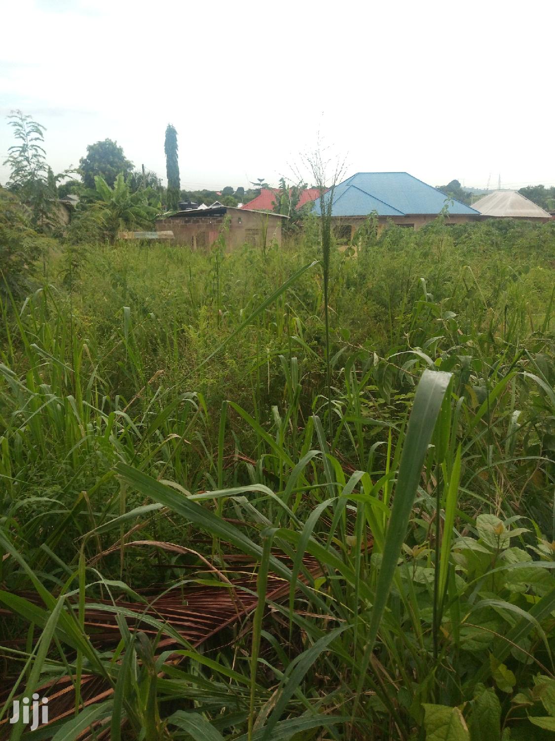 Plot For Sale