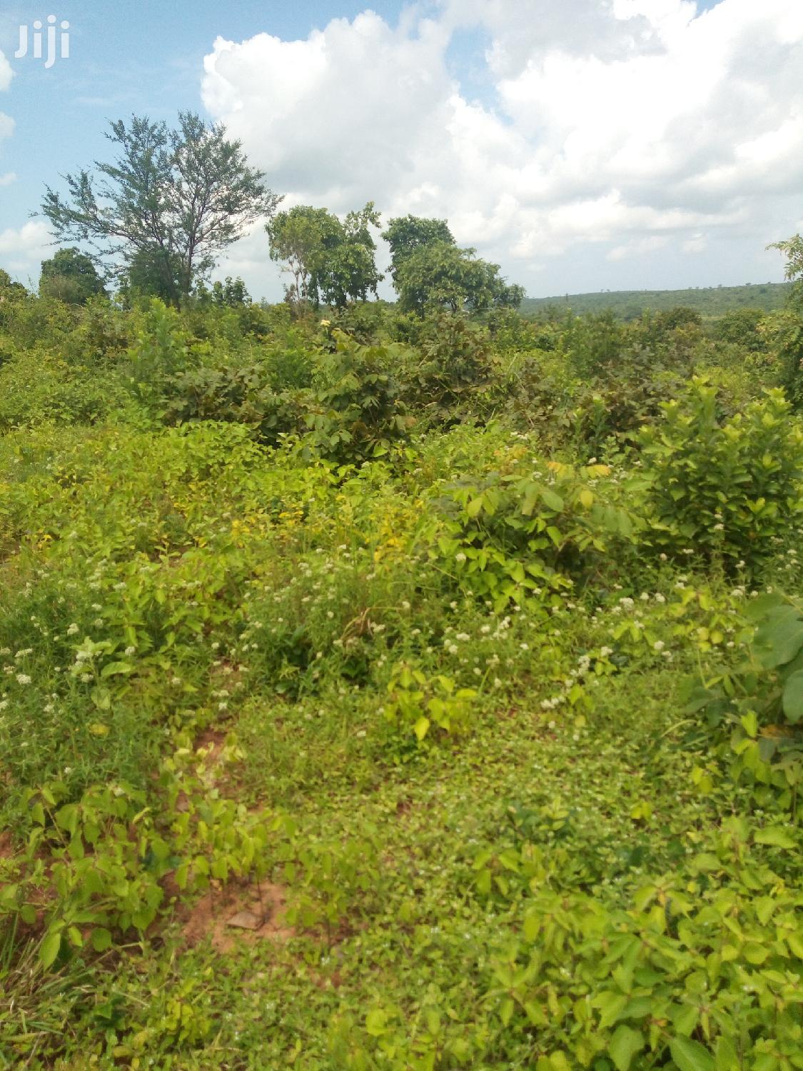 Shamba Linauzwa in Bagamoyo Land & Plots for Sale, Joe Mark Jiji.co.tz
