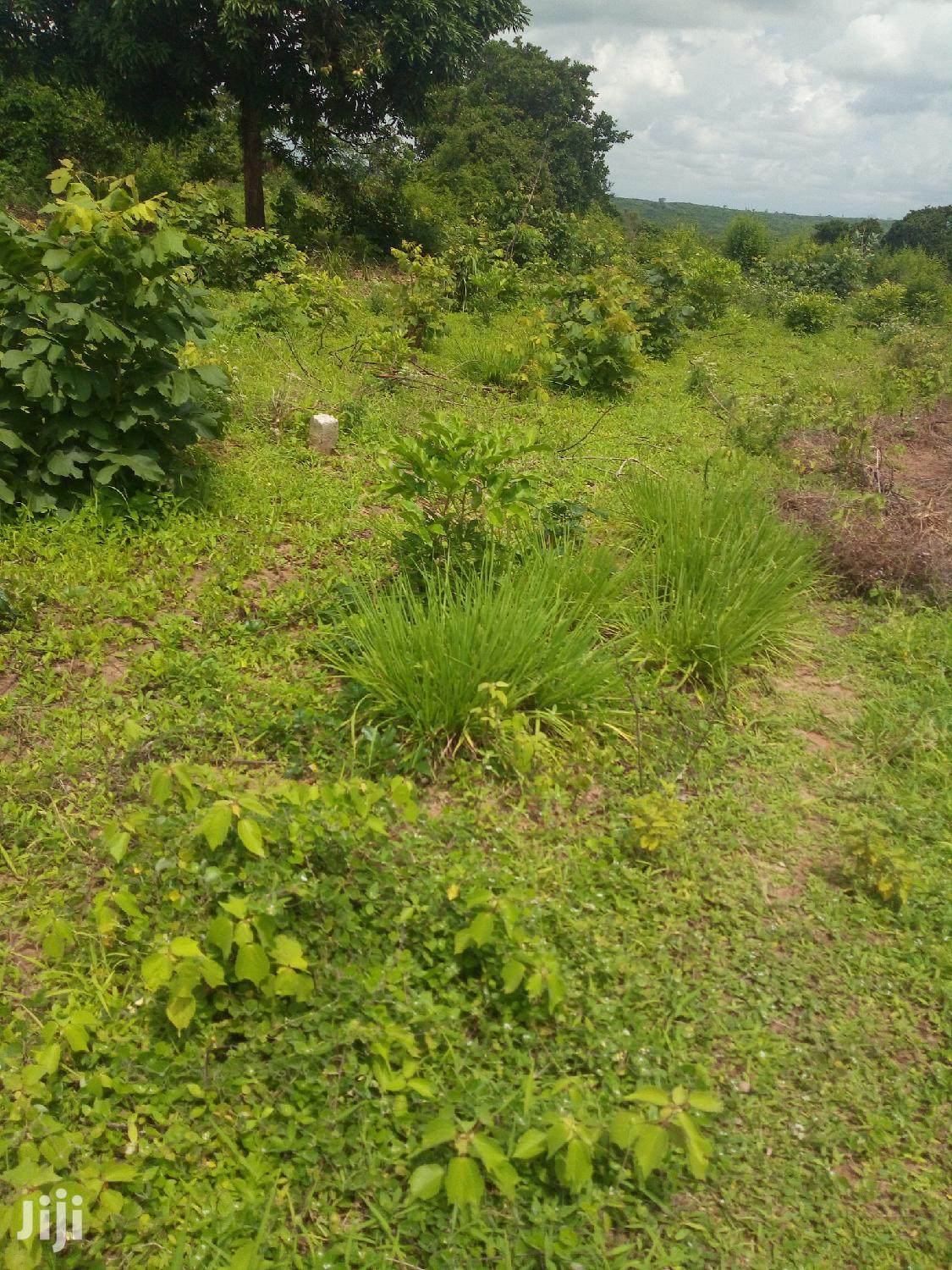 Shamba Linauzwa in Bagamoyo Land & Plots for Sale, Joe Mark Jiji.co.tz