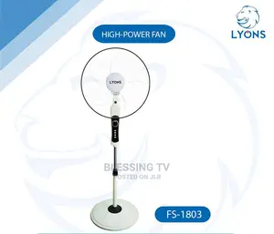 Lyons High Quality Feni