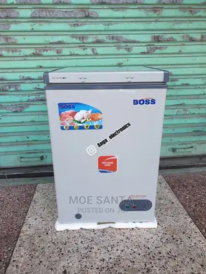 Boss Freezer Litre 100