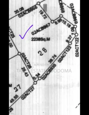 Land for Sale at Njedengwa Investment Dodoma