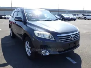 Toyota Vanguard 2007 Gray
