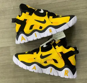 Air Jordan Multcolour