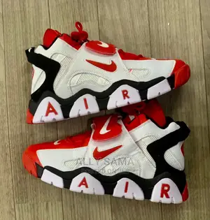 Air Jordan Multcolour