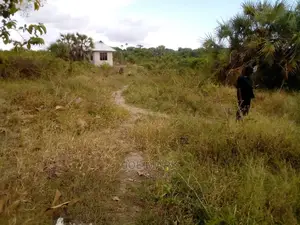 Plot for Sale at Kibaha