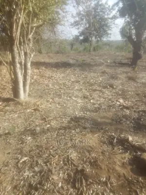 Eneo Linauzwa Kibah