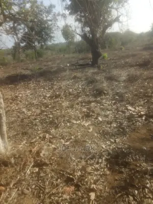 Eneo Linauzwa Kibah